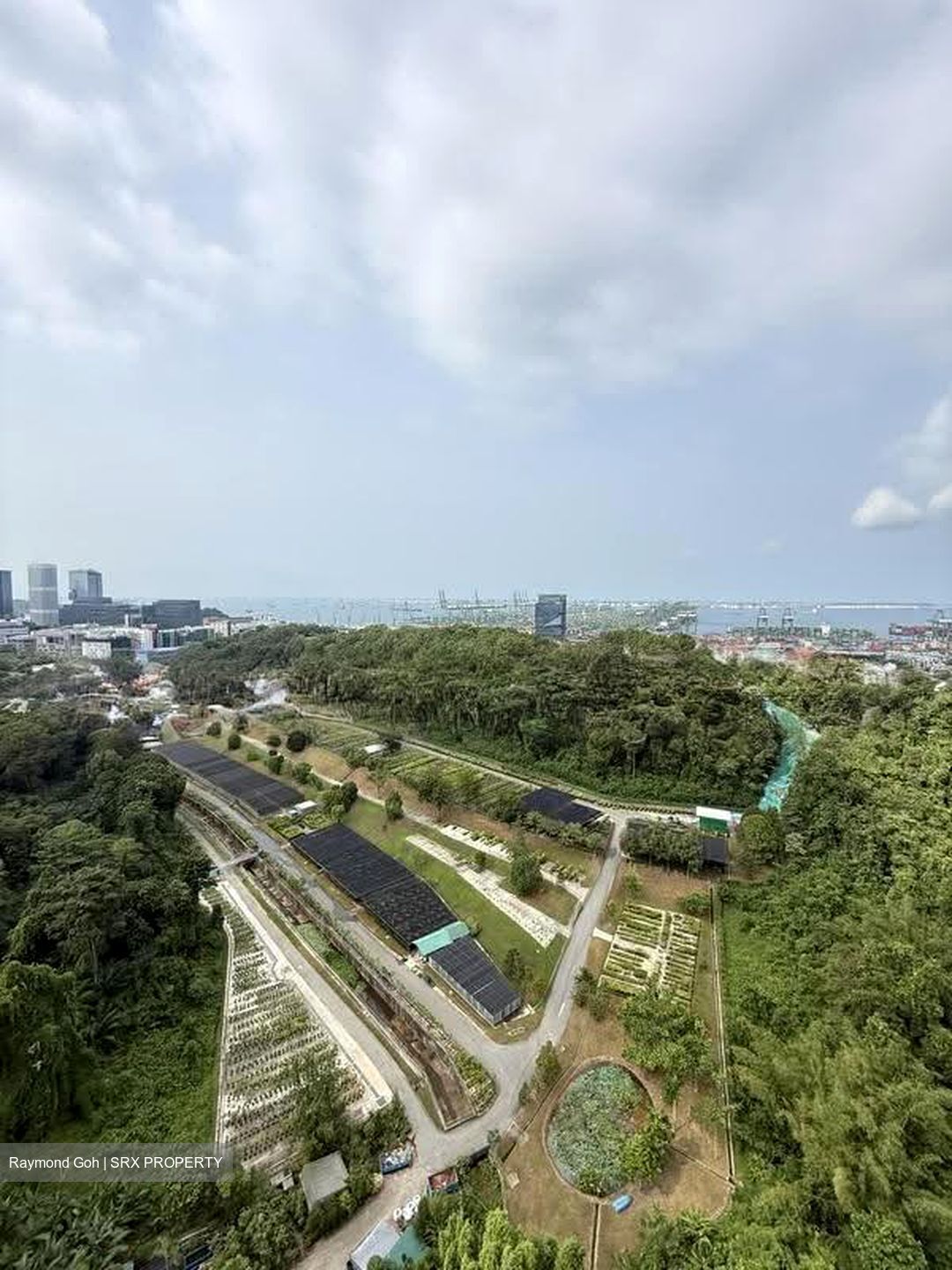 Normanton Park (D5), Apartment #612065871